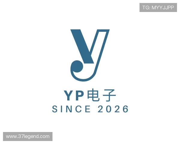 了解YP电子