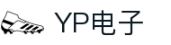 YP电子集团股份有限公司